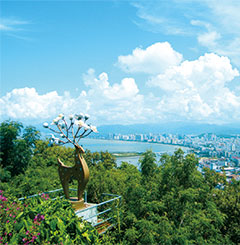 城鄉(xiāng)環(huán)衛(wèi)運(yùn)營(yíng)